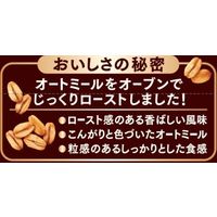 おいしいオートミール じっくりロースト 360g 1袋 日清シスコ シリアル