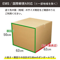 シモジマ 180サイズダンボール 5枚セット 62×62×50cm FD18-0005-AS 1セット(5枚入)（直送品）