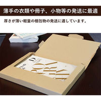 シモジマ メール便用ダンボール 309×226×29mm　4571689033123　1セット（50枚入）（直送品）