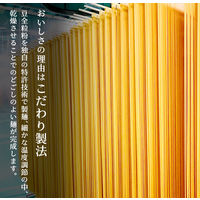 ZENB RAMEN（ゼンブラーメン）醤油味 黄えんどう豆100％ 1人前・113g 2袋 グルテンフリー