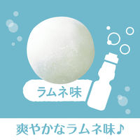 ぶどう糖入りガム 18g 12個 ガム ロッテ