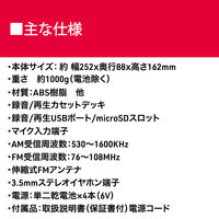 aiwa（アイワ） ラジオカセットプレーヤー マイク端子付 Bluetooth受信機能 GAA4-RCP0003（PG） 1台