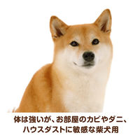 ベストバランス 柴犬用 鶏ささみ・緑黄色野菜・キャベツ入り 60g 4袋 国産 ドッグフード パウチ