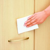 水の激落ちくん 食卓＆リビング用 お掃除シート 除菌 洗剤不使用 1パック（20枚入）レック