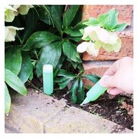 紀陽除虫菊 活力剤(全植物用)35ml×10本入 K-2615 1セット(10個)（直送品）