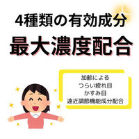 ラフェルサV12 15ml  目薬 眼疲労改善【第2類医薬品】