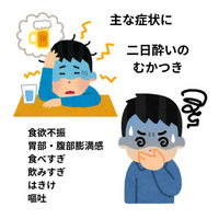 新パスゲン内服液プラス 30mL×2本 生薬配合胃腸薬 二日酔いのむかつき【第3類医薬品】