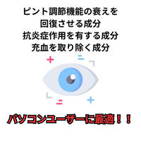 ラフェルサ ルイビーOA PC 15ml  目薬 PC、スマートフォンによる 目の疲れ 炎症【第2類医薬品】