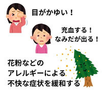 ルイビーAG 15ml ラフェルサ 目薬 アレルギー かゆみ 結膜充血【第2類医薬品】