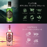 コカレロ クラシコ 200ml＆ヴィーダ 200ml オルジナルグラス1個付 1セット ギフトパッケージ リキュール