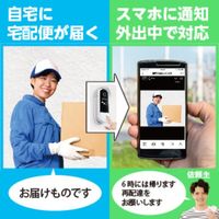 ダイトク グランシールド カメラ付きインターホン 留守でもピンポンG2 GS-DB026DTK 1個 660-8720（直送品）