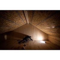 レッドレンザー LEDLENSER AF8R Work 502911 1個 652-7512（直送品）