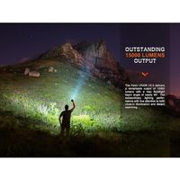 Fenix 充電式LEDライト LR40RV20 1個(1台) 553-6194（直送品）