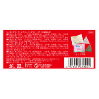 シーズングリーティング ペーパーギフト ベア 1個 チャーリー