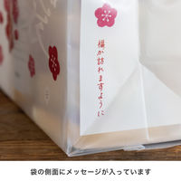 ヘッズ 福袋フロストバッグー3/梅 FUM-3B 1袋(10枚)