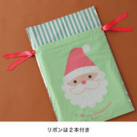 ヘッズ チャーミングクリスマスリボン付PEギフトバッグーM XCM-RBM 1袋(20枚)