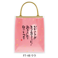 ヘッズ 福袋縦長タイプ FT-4B 1袋(20枚)