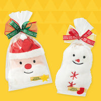 【クリスマス】ヘッズ クリスマスサンタ巾着バッグーSXMS-KBS1袋（10枚）