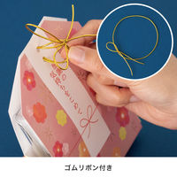 【お正月】ヘッズメッセージお守りカバーバッグー2/感謝MSO-CVB21袋（20枚）