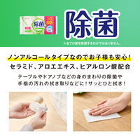 アイリスオーヤマ ウェットティッシュ ノンアルコール 除菌ができるウェットティッシュ WTS-60N8P 1パック（60枚入×8個）