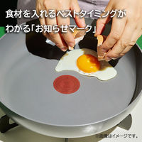 グループセブジャパン T-fal （ティファール） アースグレー フライパン 20cm IH対応 C44202 1個