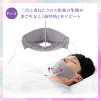 アイメディア おやすみ用鼻呼吸シルクマスク グレー 1009456 1個（直送品）
