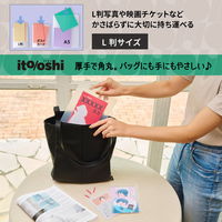 プラス イトオシ カードケース PP製 L判写真サイズ クリアー 91522 1パック（2枚入）