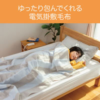 小泉成器 電気毛布(電磁波カット掛敷) KDK75246D 1台
