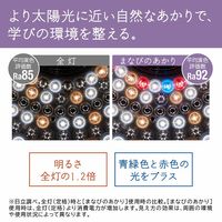 日立 [まなびのあかり]搭載タイプ 8畳 LEC-AH802TM 1台