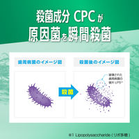 【大容量】GUM(ガム)デンタルリンス 1300ml 薬用 液体ハミガキ [レギュラー ハーブミント] マウスウォッシュ