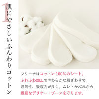 ナプキン フリーナ 使い捨て布ナプキン デリケートケアシート テープなし 1パック（60枚入）匠ソリューションズ