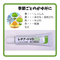 レチナートVS軟膏 10g しっしん、かぶれ、しもやけ、虫さされ、じんましん ステロイド外用剤【指定第2類医薬品】