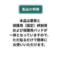 オーラク膏H Mサイズ 12枚入【第2類医薬品】