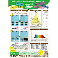 ゼンスイ Ever Sun 365 mini 12W WHITE 329393 1個（直送品）