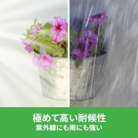 スリーエム(3M) スコッチ 強力両面テープ 凸凹面用 幅19mm×長さ1.5m 1箱（60巻：1巻×60） KH-19R