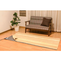 アイリスオーヤマ ホットカーペット 1畳 電気カーペット 176×88cm ダニ退治 無段階温度調節 IHC-10-H グレー