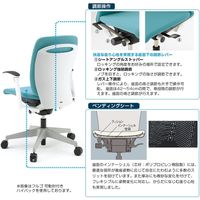 イトーキ フルゴチェア 布地張り ローバック 肘無し ブラック×ネイビーブルー×ブラック KF-440GB-T1T1B2 1脚（直送品）