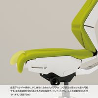 【設置込】イトーキ フリップフラップチェア 布地張り 固定肘 ランバー付 ナイロンキャスター ハイ ハンガー付 IVグリーン×白×黒 1脚（直送品）