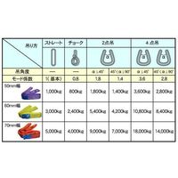 フリーク ラウンドスリングN型 使用荷重1000kg 幅50mm 長さ2m 561478 1セット(10本)（直送品）