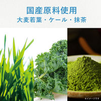 伊藤園 ごくごく飲める毎日1杯の青汁 900g 1箱（12本入）