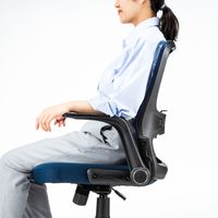 サンワサプライ オフィスチェア メッシュチェア 肘跳ね上げ式 ランバーサポート付 キャスター付 ブルー SNC-NET21BL 1脚（直送品）