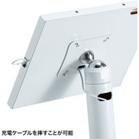 サンワサプライ 10.2インチiPad用 フロアスタンド 幅357×奥行260×高さ1073mm CR-LASTIP30W 1台（直送品）
