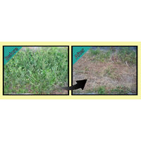 イカリ消毒 ムシクリン 防虫除草シャワー 2L 205653 1本（直送品）