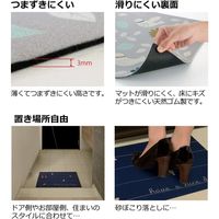 リッチェル 玄関マット　インドアマットSS　アンデス柄　1セット(2枚)（直送品）