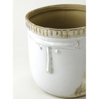 スパイス Wow!クールアフリカン フェイス ポット ホワイト CPGH1220 1個（直送品）