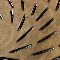 スパイス Wow!クールアフリカン ブラックイレギュラーライン ラウンドプレート ブラウン CPGH1310A 1個（直送品）