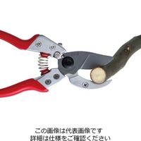 アルスコーポレーション ARS アンビル剪定鋏 VAー8Z 1丁（直送品）