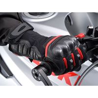 デイトナ HBG-055 ハイプロテクトグローブ ブラック/レッド Lサイズ 15908 1双（直送品）