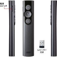サンワサプライ パワーポインター LP-RF115GM 1個（直送品）