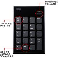 サンワサプライ 静音ワイヤレステンキー NT-WL23BK 1個（直送品）